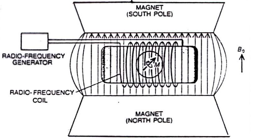 Basics of Nuclear Magnetic Resonance 4 Classical Mechanics: Energy