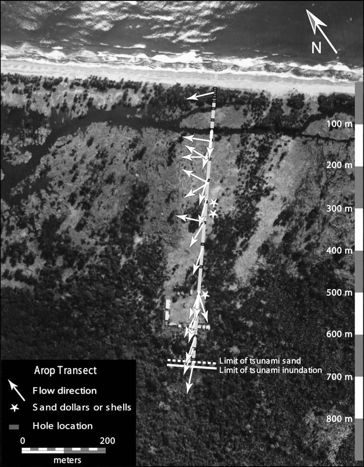 198 Guy Gelfenbaum and Bruce Jaffe Pure appl. geophys., Figure 7 Aerial photograph showing the Arop transect.
