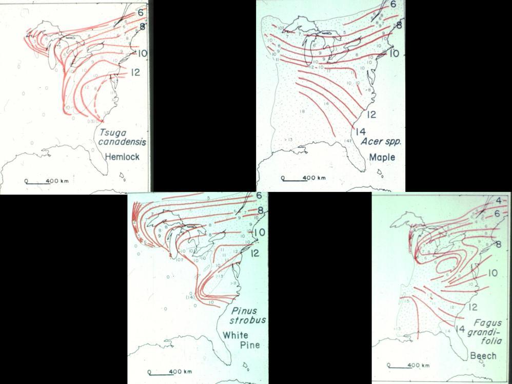 Margaret Davis s work (see paleoecology notes), showing that tree species that currently co-occur broadly had strongly differing distributions during the glacial maximum >14,000 ybp, first published