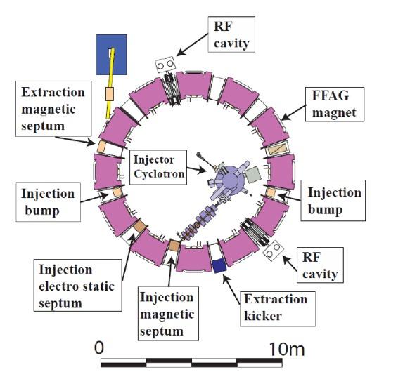 150 MeV FFAG Accelerator magnet Radial sector type (DFD-triplet) Cell 12 K-value 7.62 Beam energy Radius Betatron tune Max. field (along orbit) Circ. freq.