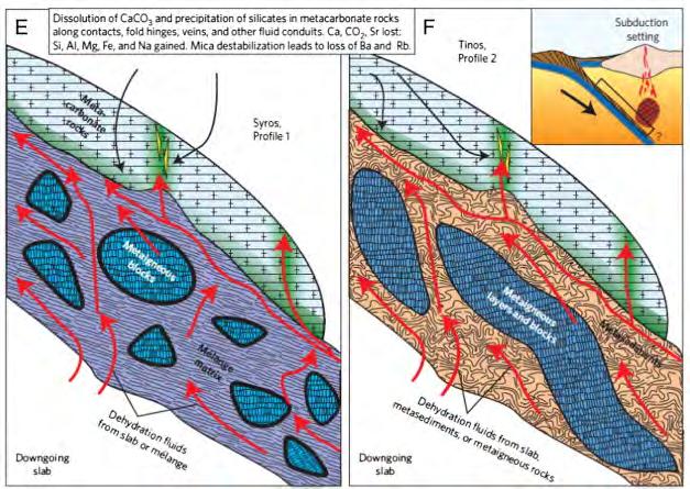 within the subduction interface may contribute significantly to