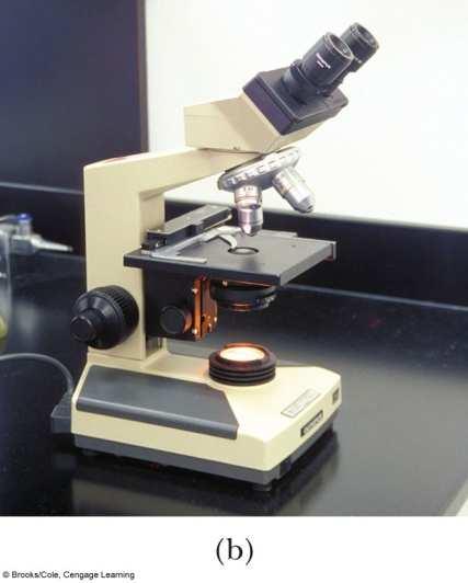 Compound Microscope A compound microscope consists of two lenses Gives greater magnification than a single lens The objective lens has a short focal length, ƒ o <1 cm The ocular lens (eyepiece) has a