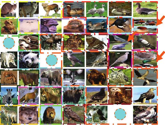 S. Behbahani et al. / J. Biomedical Science and Engineering 2 (2009) 637-643 639 Figure 1. SOM neural network resule. Table 2. Increasing number of features and animals species.