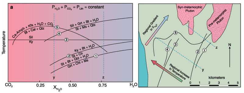 FLUID INFILTRATION T-X H2O diagram illustrating the shapes and relative locations of the reactions for the isograds mapped in the Whetstone Lake area.