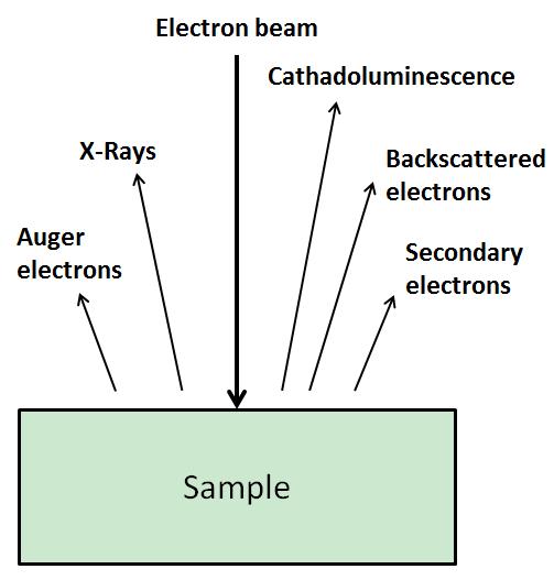 3.2.3 Scanning Electron Microscope (SEM) and Energy-dispersive X- ray spectroscopy (EDX) Scanning electron microscopy (SEM) is a common materials characterization technique which scans a focused