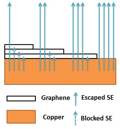 SEM is a convenient way to characterize graphene, especially direct imaging of CVD grown graphene on copper without transfer.