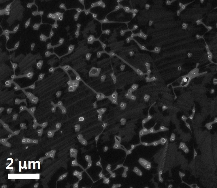 Figure 4-13: SEM image of the CVD grown graphene on copper foil without acetic acid treatment.
