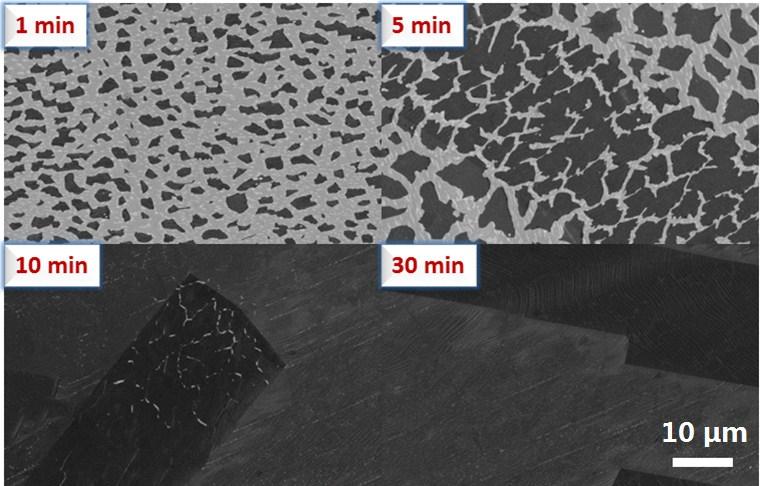 Figure 4-18: CVD graphene grown at different periods of time: 1, 5, 10, 30 minutes. White area: copper surface.