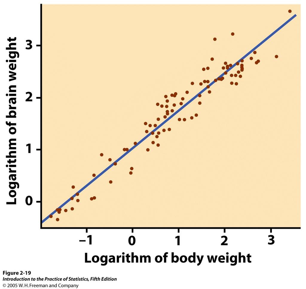 Body weight and brain weight in 96 mammal species r = 0.86, but this is misleading.