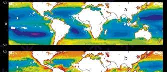 7 years of ocean chlorophyll from satellites Biological variability in space and time Mean Maximum Minimum High latitudes are highly variable, central gyres more stable Spatially coherent interannual