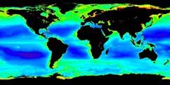 In the ocean gyres, chlorophyll concentrations