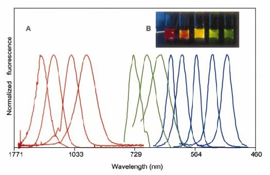 Size and Material Dependent Optical Properties Fluorescence signal (a.u.) 1771 1033 79 564 460 Wavelength (nm) Red series: InAs nanocrystals with diameters of.8, 3.6, 4.6, and 6.