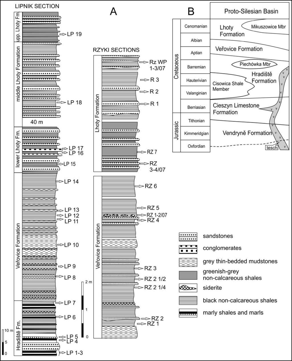116 P. WÓJCIK-TABOL & A. ŒL CZKA Fig. 2. Lithostratigraphy. A. Lithological log of Rzyki and Lipnik sec tions; B.