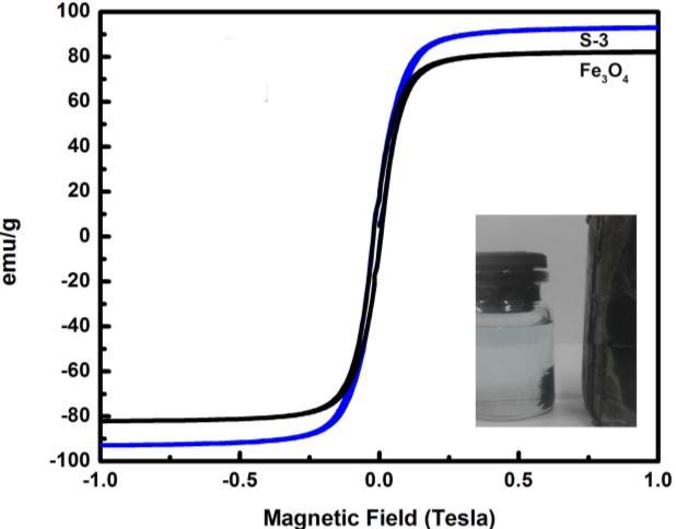 Figure 2. TGA measurement of Fe 3 O 4 and Fe 3 O 4 -NGP composites with different NGP surface area, VSM spectra of Fe 3 O 4 nanoparticles and Fe 3 O 4 -NGP composites.