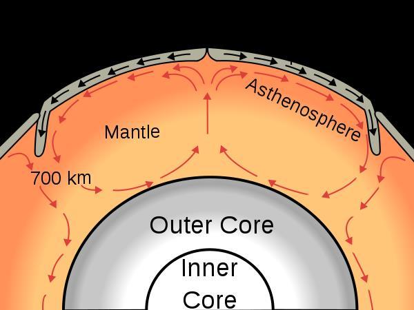 Convection currents Convection currents flow in the mantle