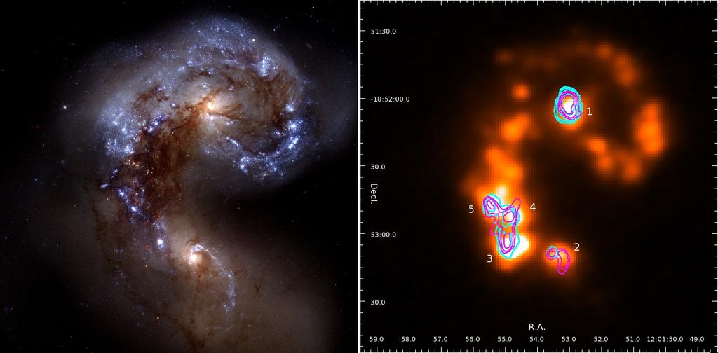 Case Study: Dense Gas in the Antennae Galaxies Provide context for the EMPIRE disks: dense gas and star formation in a major merger CARMA observations of 12 CO(1-0) and HCN(1-0), HCO +