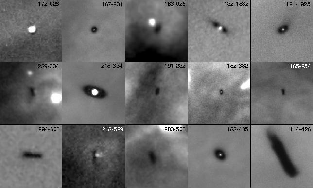 Circumstellar Disks In Orion 100+ disks directly observed, diameters 100-1200 AU 80%+ of stars in Orion show evidence for having disks These stars are too distant and young to
