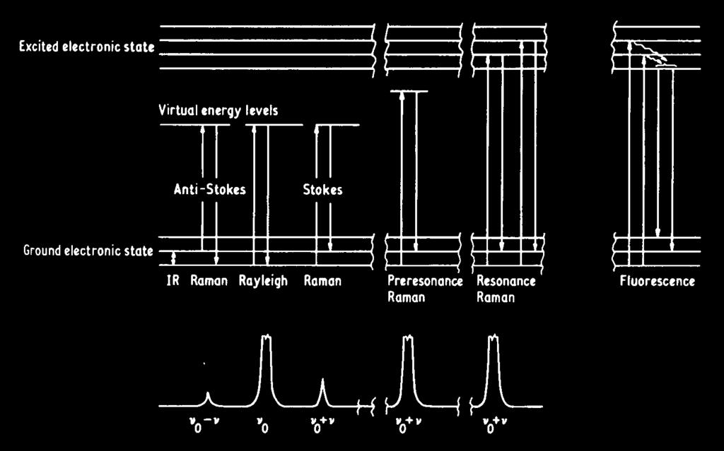 Raman spectroscopy is a light-scattering technique. c. Raman scattering is inelastic -the scattered radiation has a frequency di