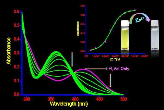 2. Photophysical Characterization. UV Vis spectra of H 2Vd upon titration with Zn 2+ ion. Figure S12. UV-vis spectra of H 2Vd (5 10-7 M) in HEPES buffer (ph = 7.