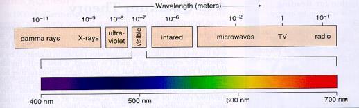 Types of EM Radiation There are 7 types of electromagnetic radiation: 1) Radio waves - lowest E 2) Microwaves 3) Infrared (IR) - heat 4) Visible Light - only type visible 5) Ultraviolet (UV) 6)