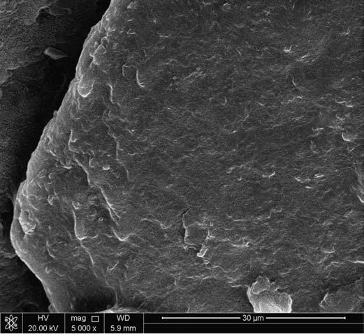 Page 5 of 9 Figure 3. Nano-scanning electron microscope (NSEM) of bulk polyvinyl alcohol (PVA) with an average particle size diameter of 5 nm. Figure 4.