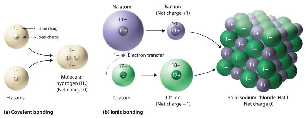 Polyatomic ion multiple atoms;