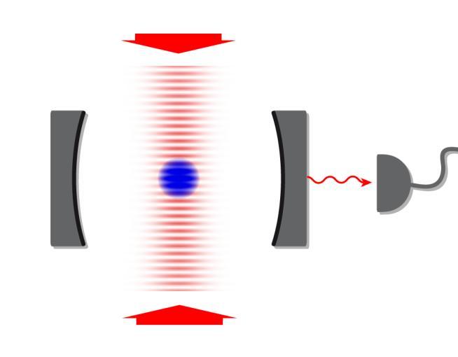 Real-time observation of leaking photons Single-photon counter