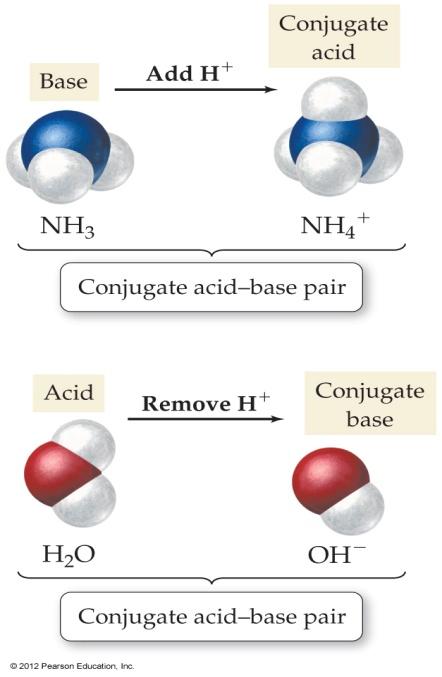 Chemistry 12 Ch 1 4 : Acids and Bases Page 4 Bronsted Lowry Definitions : In 1923, Johannes Brønsted, working in Denmark, and Thomas Lowry, working in England, developed the concept of proton