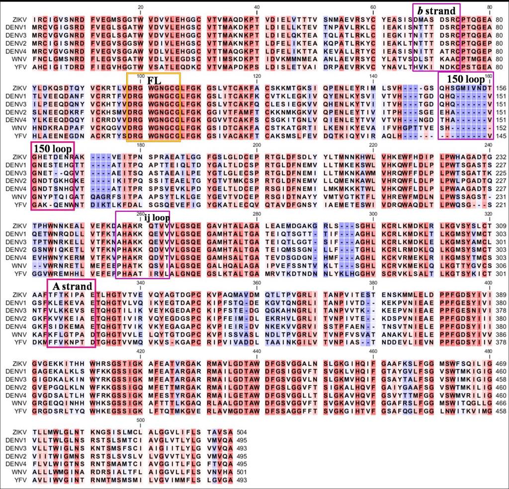 Figure S2. Sequence alignment of flavivius E protein and especially the residues in fusion loop and DENV EDE mab/e interaction regions, related to Figure 1 and Figure 6.