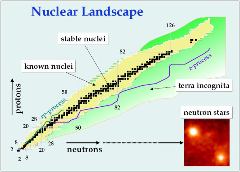 Some of the big questions What binds protons and neutrons into stable nuclei and rare isotopes?