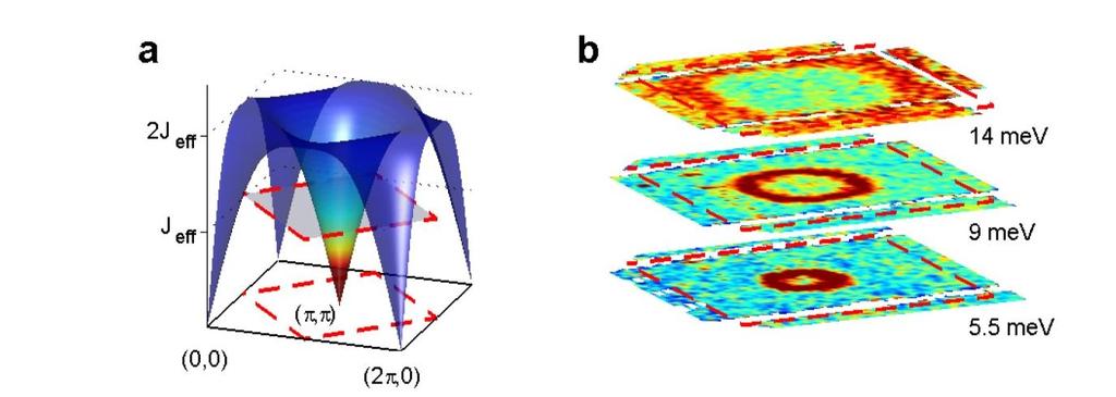 AFM spin wave dispersion Average spin-wave population = zero point fluctuations reduced moment: 60% left in 2D 0.