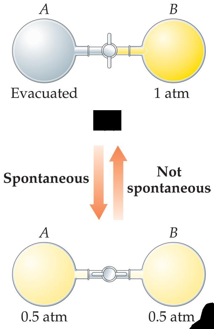 Spontaneous Processes Spontaneous processes are those that can proceed without any outside intervention.