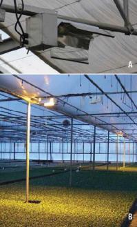 Managing light, temperature, and relative humidity in greenhouses Outline 1. Maximizing light levels and the basics of supplemental and photoperiodic lighting 2.