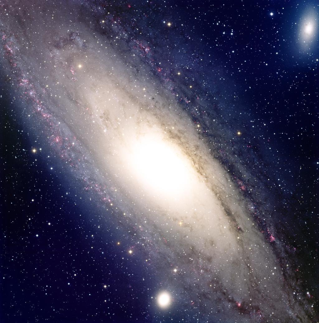 The Nuclear Bulge of M31 Young stars have formed along the foreground spiral arm.