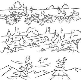 Genre/Visual Elements Forest Fires Forest fires start and spread in different ways. The type of fire and the plants affect how it spreads. There are three types of forest fires.