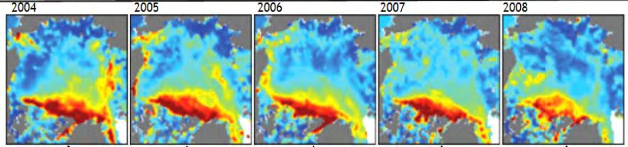 , 2003 ICESat thickness fields (2004-2008)