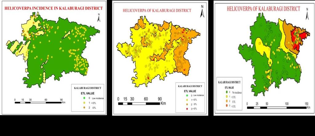 Fig. 6, Spatial & temporal variation in Helicoverpa armigera incidence, Kalburgi district, Karnataka, Fig.
