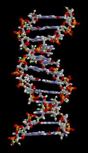 DNA is a coding device that is used in nature