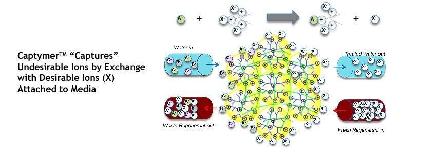 Polymeric Nanoparticles Comprises branched macromolecules with chemically