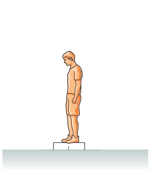 Apparent weight Consider a man standing on a spring scale The only forces