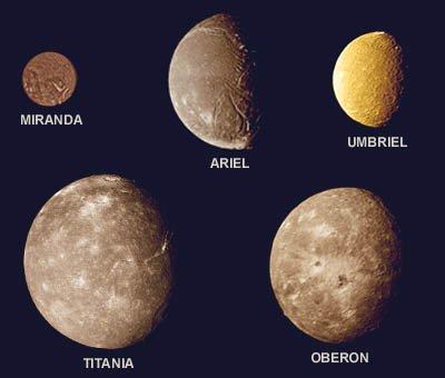 The Moons of Uranus Following the trend for gas giants, Uranus has many moons, the number continually increasing The five