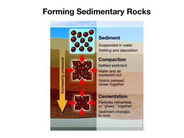 Sedimentary Rocks Rocks that
