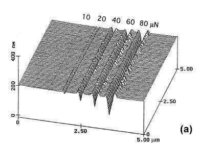 N/m is used at relatively higher loads (1 micron-150 micron).