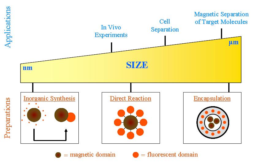 Hybrid nanocomposites: magnetic and fluorescent properties combined into one single nano-object A. Quarta, R. Di Corato, L. Manna andt.