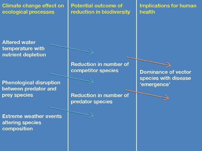 24. Climate Change, Ross River Virus and Biodiversity Conclusions Relating to Ross River Virus as a Model Ross River virus may provide a case study for climate change and biodiversity loss
