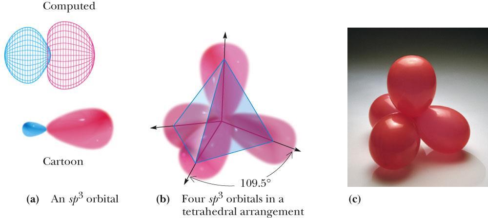 VB ybridization of Atomic Orbitals Figure 1.12 sp 3 ybrid orbitals.