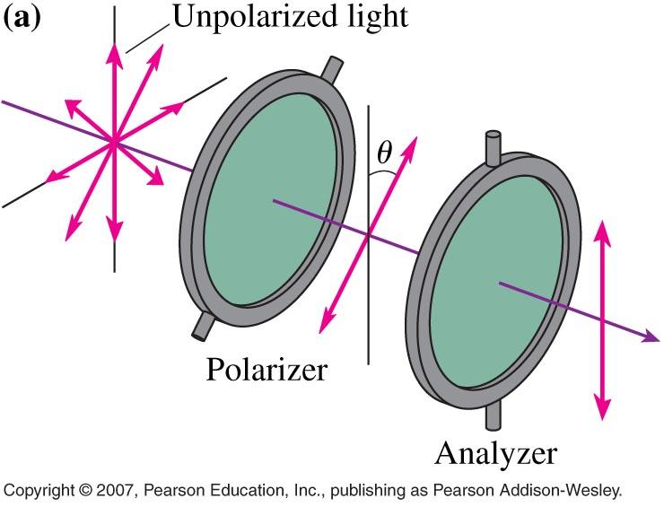 Light passed through a polarizing filter has