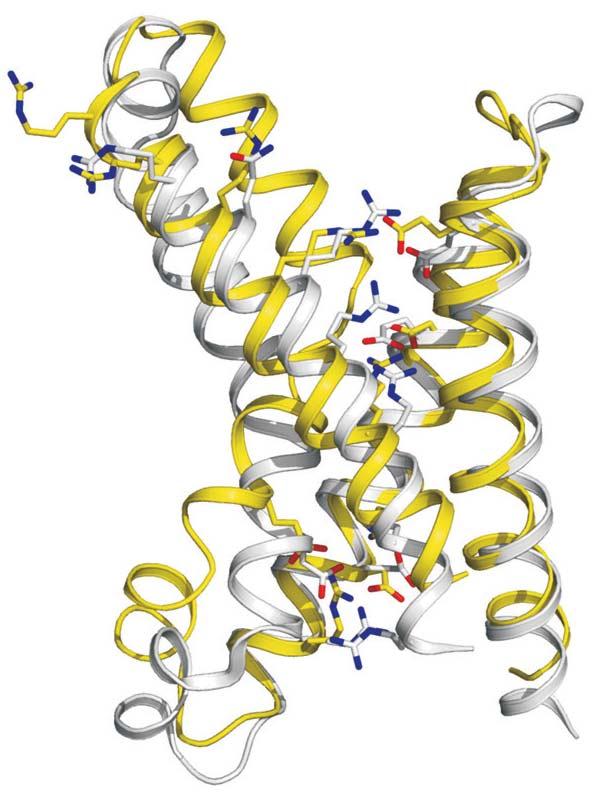 NATUREjVol 456j18/25 December 2008 S3a Figure 3 Charged amino acids in voltage-sensing domains.