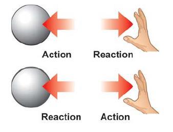 Newton s 3 rd Law Newton s 3 rd Law says that for every action force there must be an equal and opposite reaction force.