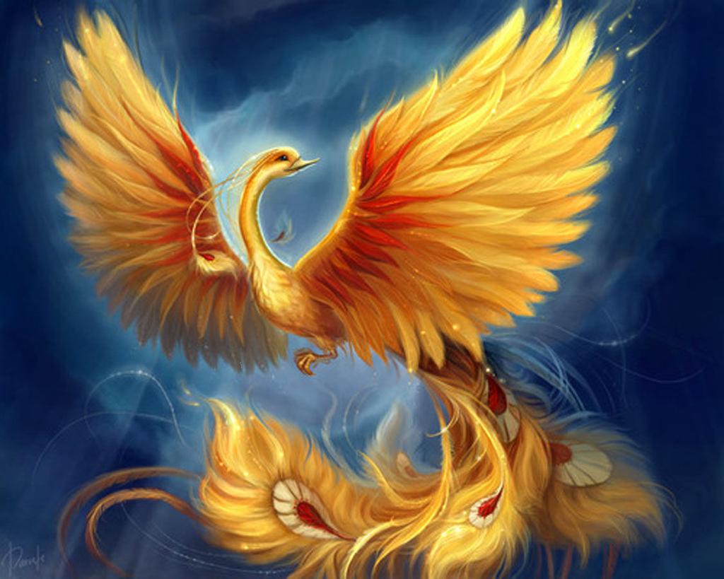 Remember to choose the definition that fits best in the context of the sentence! What s Up with the Phoenix?